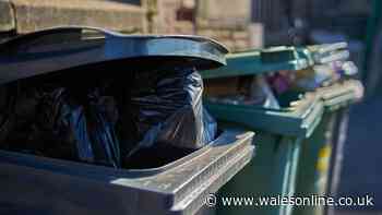 Binman settles debate on what to do with rubbish if your wheelie bin is full
