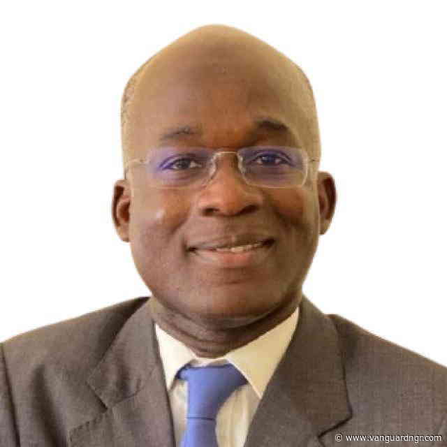 Nigeria must end dependence on govt to fund electricity sector — Presidential aide