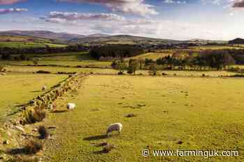 Deadline nears for £40m Northern Ireland farm funding scheme