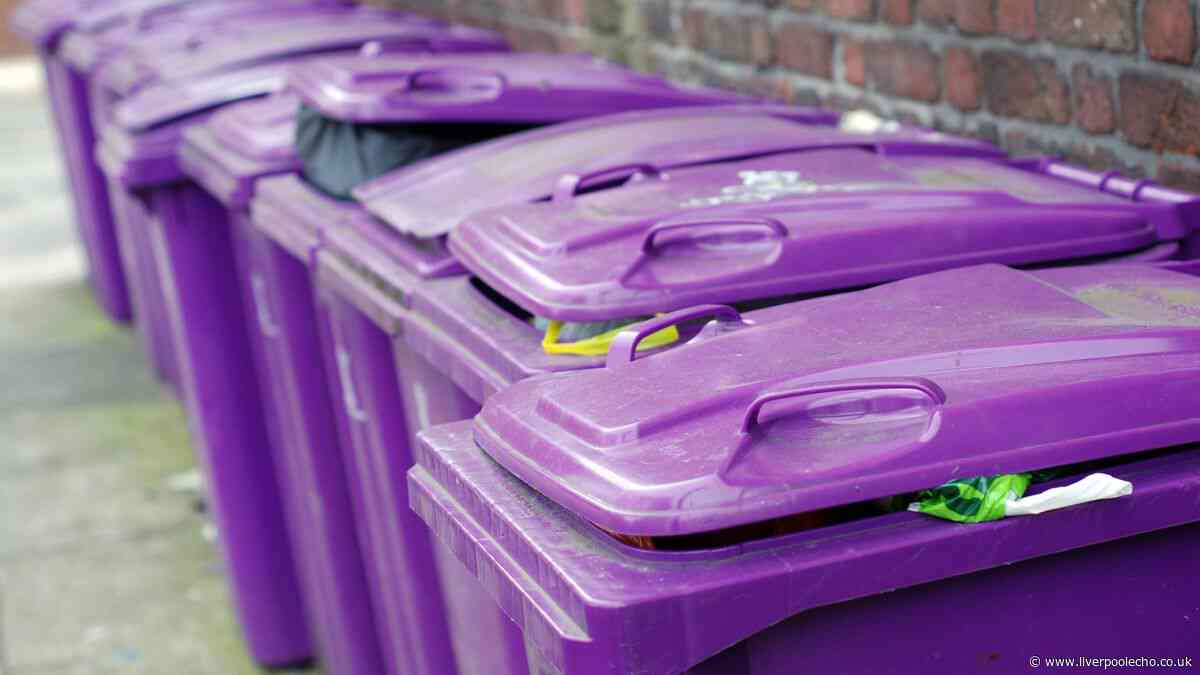Binman explains what to do with rubbish when your wheelie bin is full