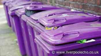 Binman explains what to do with rubbish when your wheelie bin is full