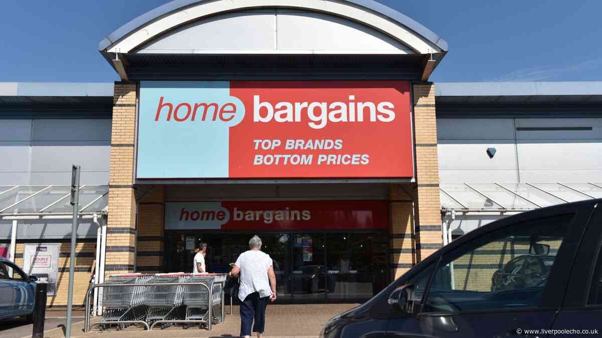 'Stay comfy on flights' with Home Bargains £5 'memory foam' accessory