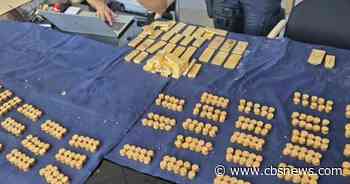 Workers discover gold bars, coins worth $10 million while drilling at site of former brewery