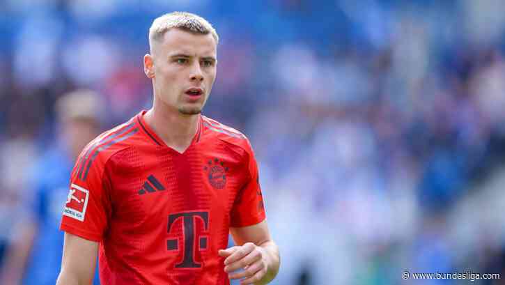 Paderborn verstärkt sich mit Gabriel Vidović