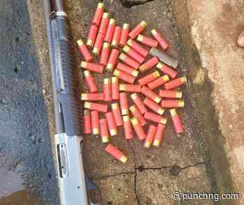 Police arrest robbery suspect in Anambra, recover arms