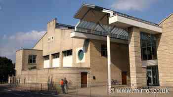 Schoolboy, 15, faces trial accused of 18 sex attacks including rape of girl aged 10