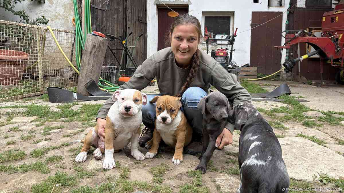 Thor hat wieder das Kommando – Wiedersehen mit den Welpen von Groß Steinum