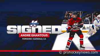 K-Wings re-sign Andre Ghantous