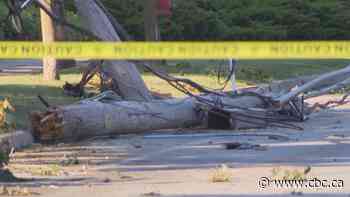 Over 700 Brampton homes and businesses without power after collision knocks down hydro poles