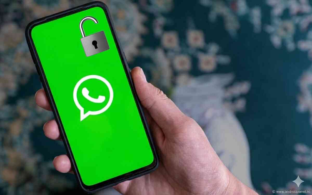 Gebruikersnamen op WhatsApp: met deze tips blijf je veilig