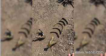 More potential human remains found at Lake Mead