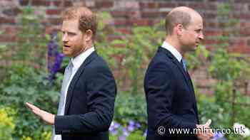 Prince William still 'smouldering' over Prince Harry 'betrayal' as expert predicts 'drama'