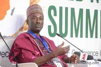 Farmers group seeks support for Tinubu’s agricultural transformation