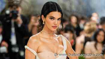 Bikini-clad Kendall Jenner shares glimpse into romantic vacation: 'Lucky lady'