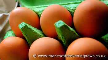 Salmonella symptoms as UKHSA confirms deadly outbreak with suspected link to eggs