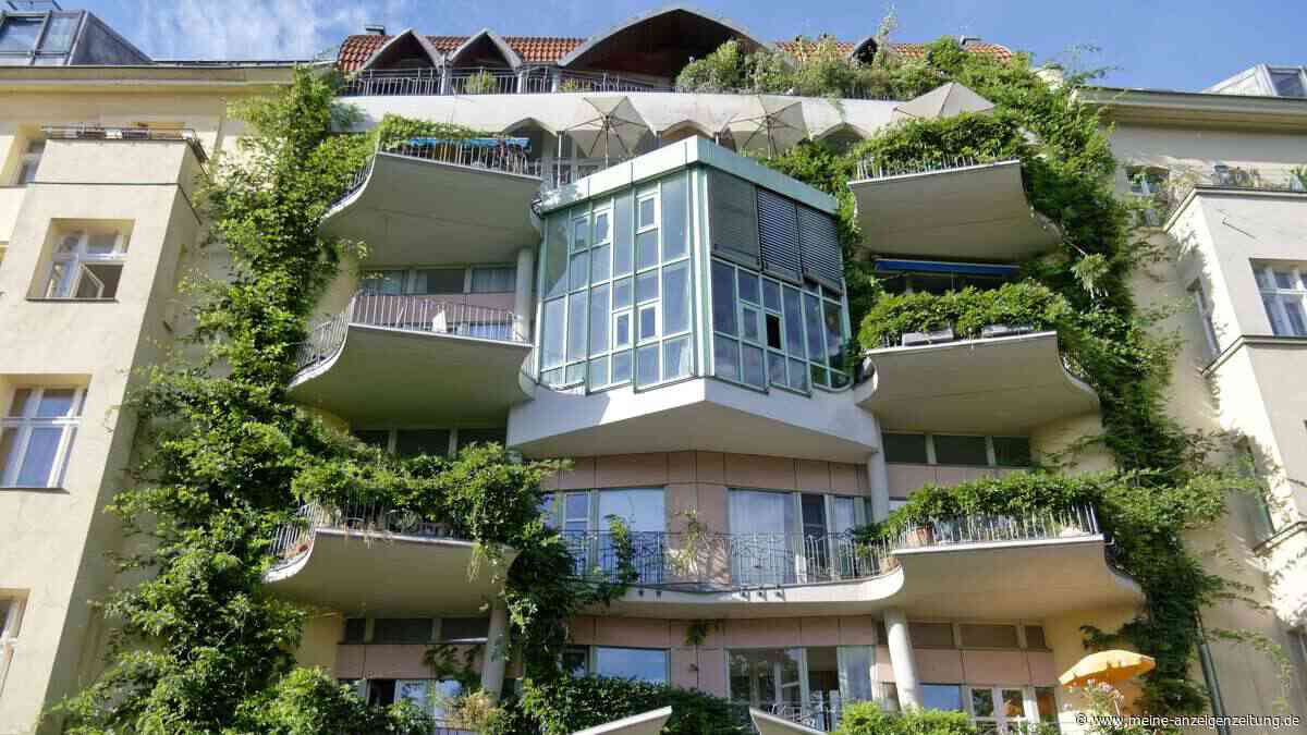 Hitze auf dem Balkon: Diese Pflanzen und Bodenbeläge sorgen für Abkühlung