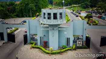 FULL LIST: UI, UNILAG lead Nigerian institutions in global ranking