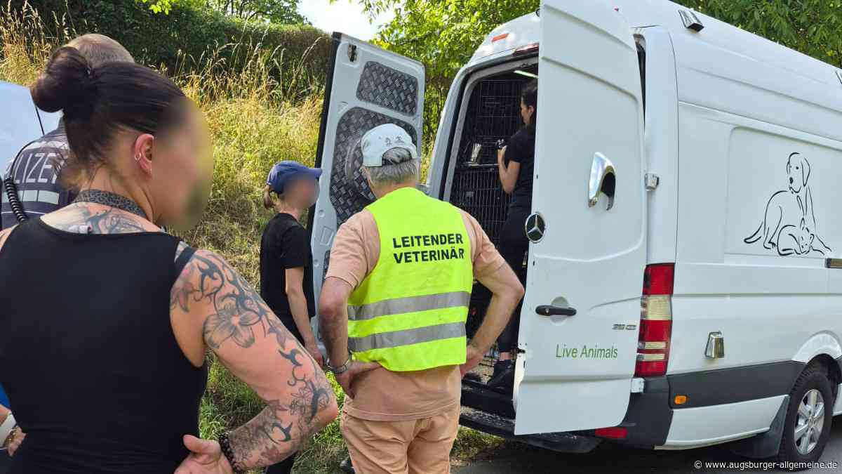 „Willkür“ und „Schikane“: Tierschützer erheben Vorwürfe gegen Veterinäramt nach Tiertransport-Kontrolle