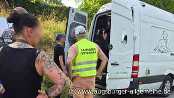 „Willkür“ und „Schikane“: Tierschützer erheben Vorwürfe gegen Veterinäramt nach Tiertransport-Kontrolle