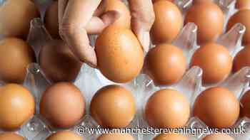 FSA issues egg safety advice after deadly salmonella outbreak confirmed