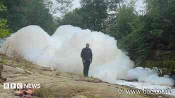 Hundreds of fish die after foam pollutes river