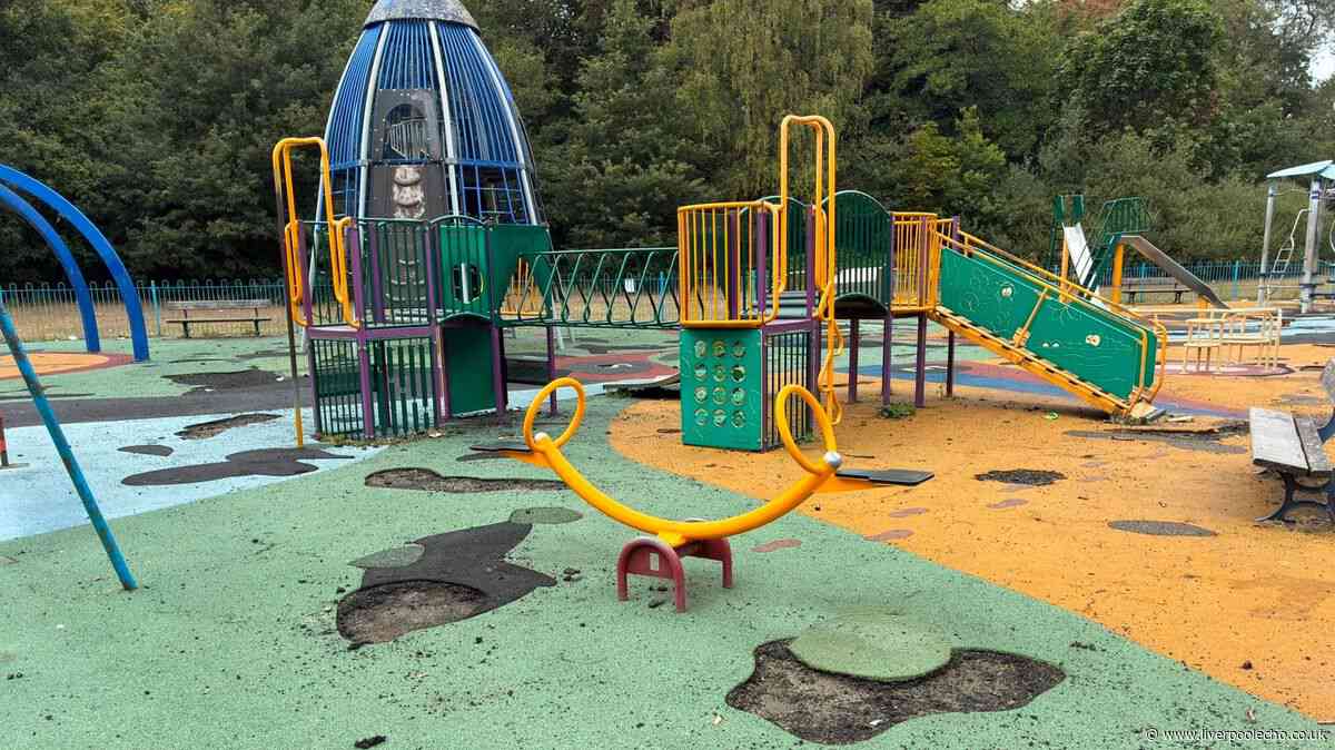 Sefton Park playground vandalised again as families face further wait for repairs