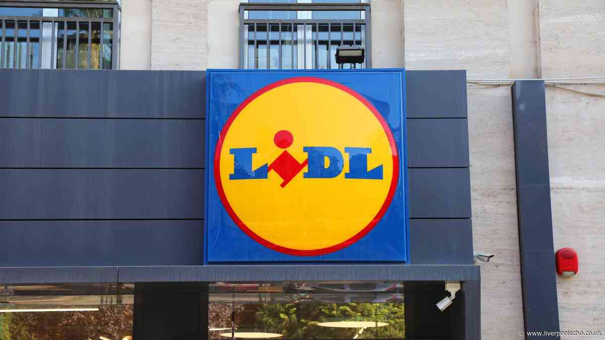 Lidl shoppers can buy £8 lamp similar to £55 'chic' John Lewis version