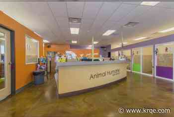 Animal Humane New Mexico celebrating ten years at the Westside Adoption Center
