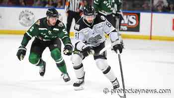 Dodero re-signs with Steelheads