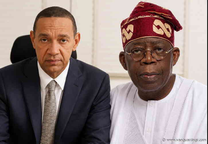 ‘Nigeria needs more mad men in your government’ – Murray-Bruce tells Tinubu