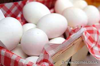 UK Egg Salmonella Cases: 1 Death and 207 Confirmed Cases as Officials Investigate Imported Egg Outbreak