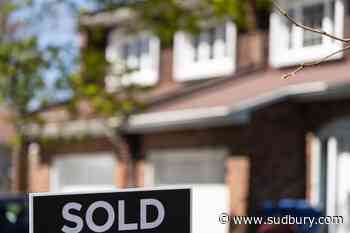 July home sales down 5.3% from last year, but market becoming more balanced: CREA