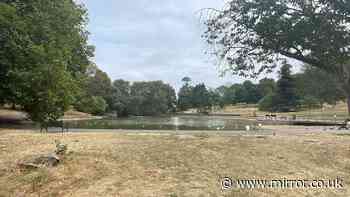 Warning over 'outbreak' of rare illness which can kill humans at Bristol park
