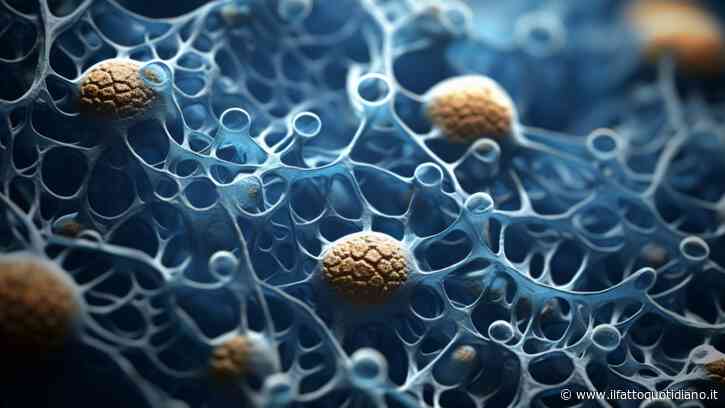 Una nuova classificazione dei neuroni per capire meglio dipendenze e disturbi psichiatrici. Lo studio su Science