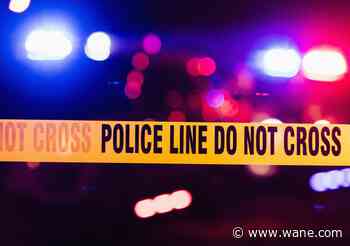 Cadaver dog finds human remains in woods near Celina, Ohio