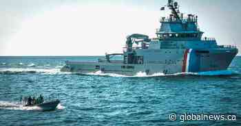 Iceland anti-whaling mission a success: activists