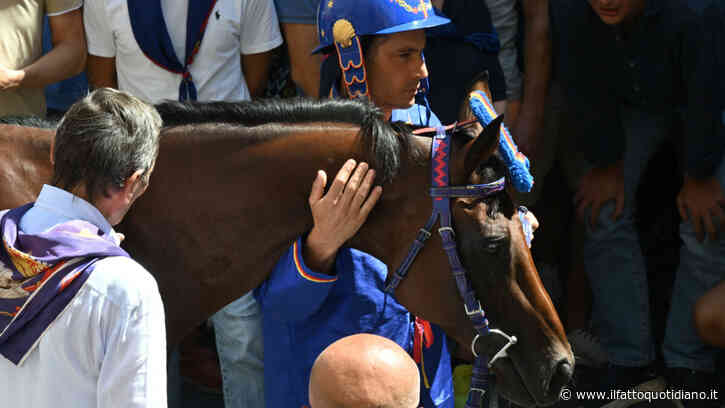 Il Nicchio vince il Palio dell’Assunta a Siena. Tredicesimo trionfo per il fantino Tittia: ora insidia il record (14) di Aceto