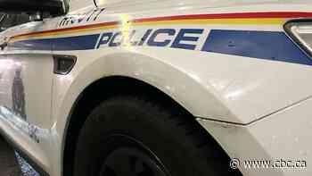 Rural Manitoba property owner faces gun charges after confronting suspected thieves