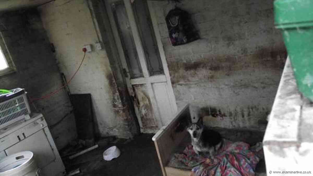 Woman banned from keeping animals for five years after dog and fish suffered