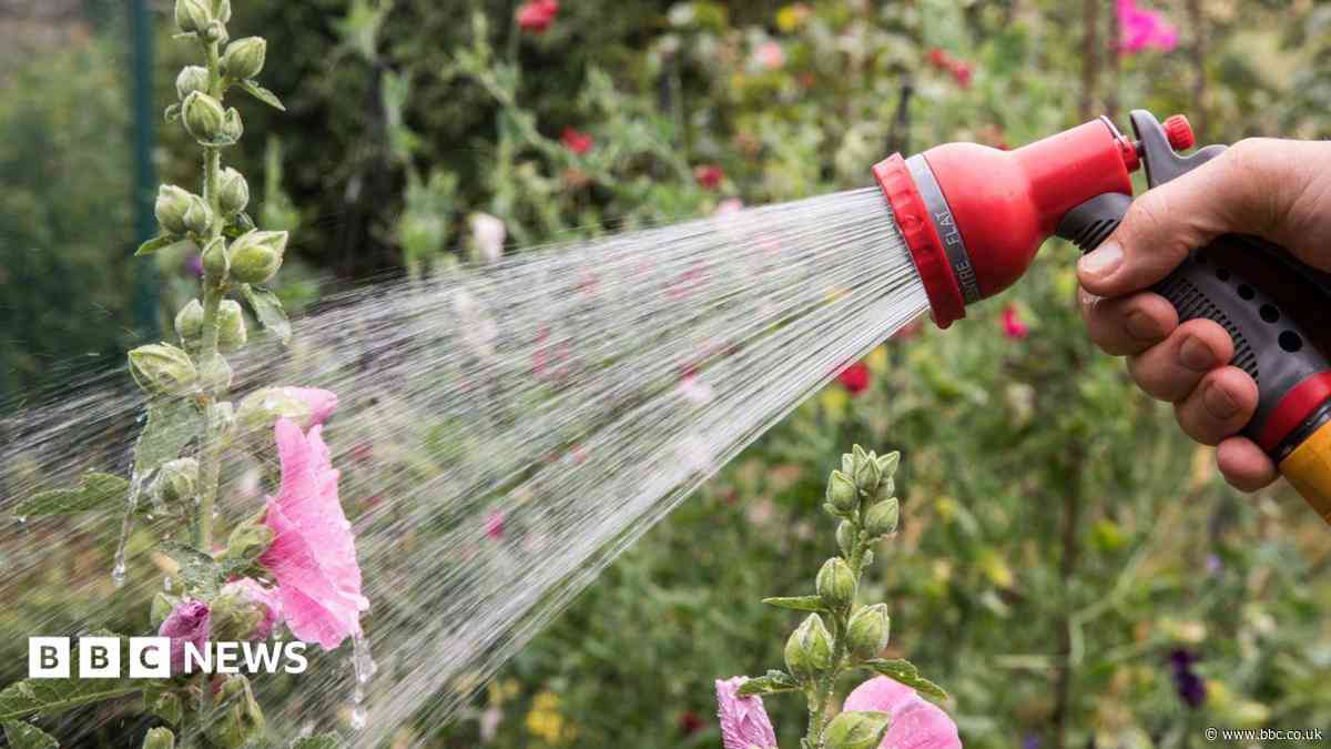 More hosepipe bans in force as drought declared - is your area affected?