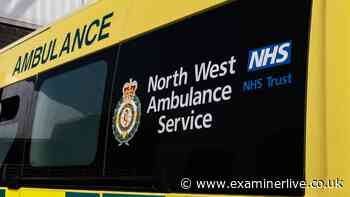 Paramedic struck off for telling stroke patient to 'stop being a baby' during 'racially motivated' rant