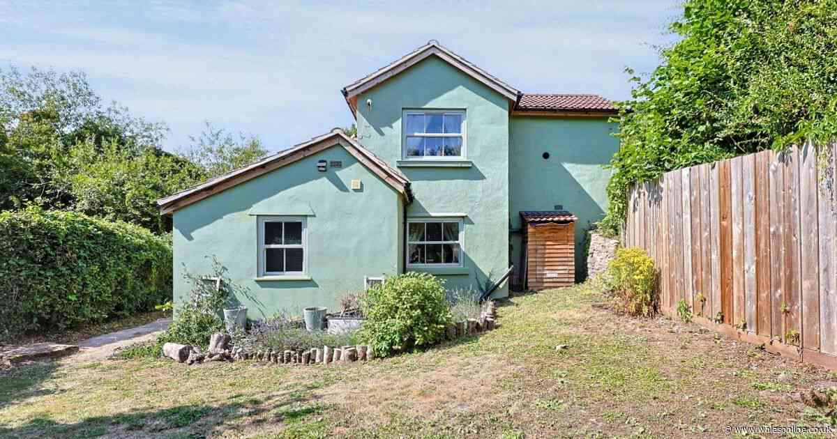 Incredible transformation of canalside cottage from dingy to dreamy