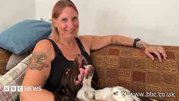 'It was either feed my animals or feed myself'