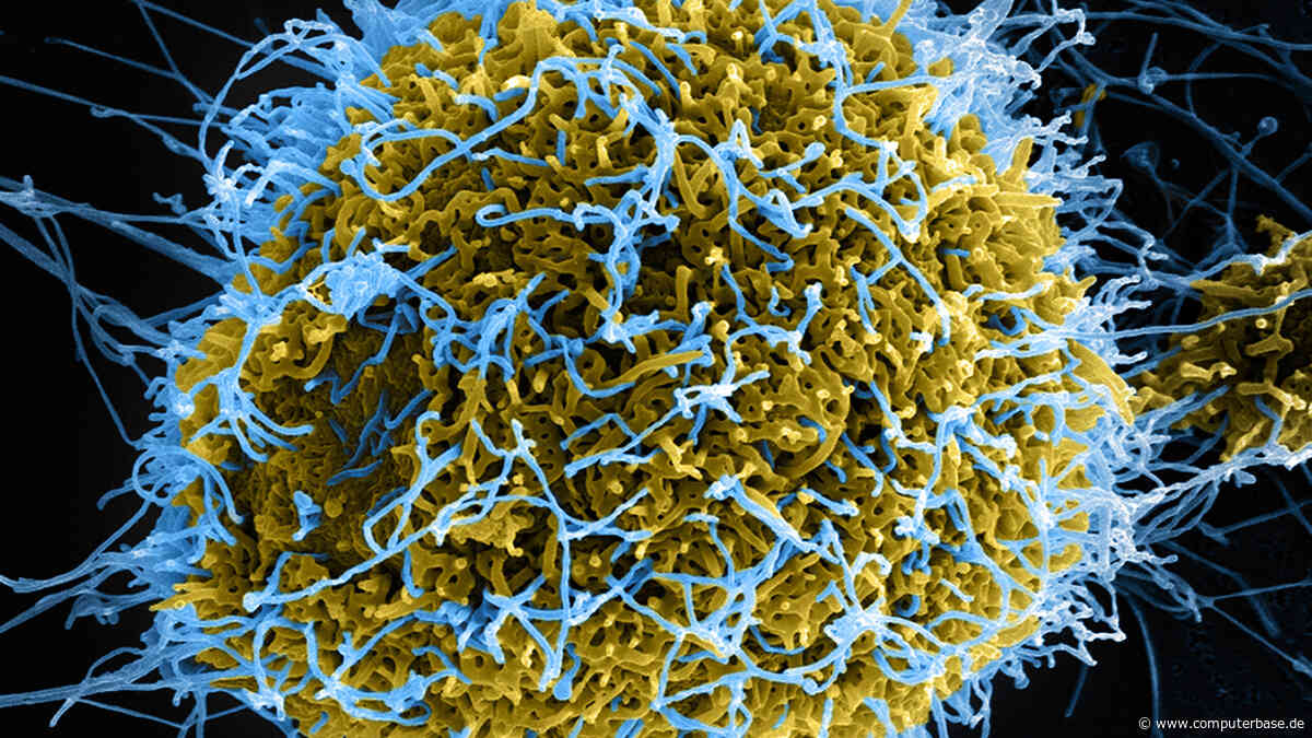 Verseuchte Treiber: Geekom zeigt sich nach Malware-Vorfall reumütig