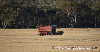 Contractors warn government visa slowdown to hit hard with harvest looming