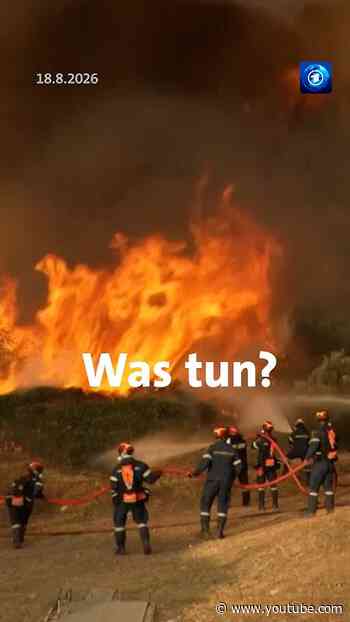 Wie könnten große Waldbrände in Zukunft verhindert werden? #tagesschau #waldbrand #feuerwehr