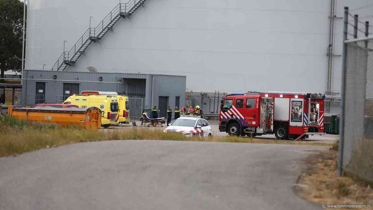 Medewerker gewond bij ongeluk bij bedrijf in Dinteloord, traumaheli geland