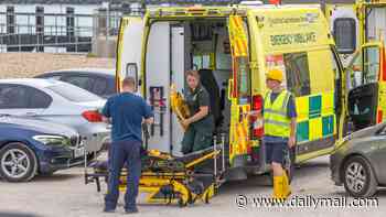 Teenager, woman, and man are dead and young girl is fighting for her life after family got into difficulty in water in Shoreham-by-Sea
