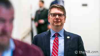 Live results: Begich looks to defend Alaska House seat in primary