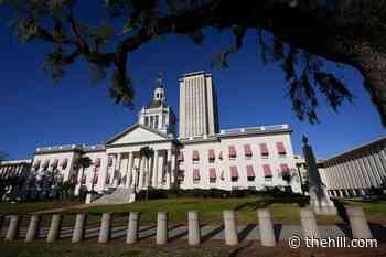 Live results: Florida holds key House primaries